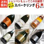 ハーフボトル ワインセット シャンパン も入った お手軽 スパークリングワイン ハーフワイン 6本セットVer.19 375ml wine