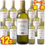 ja темно синий ti Bianco 750ml 12 шт. комплект Monde Dell vi -no кейс распродажа стандартный товар наличие товар Италия белый вино .. массовая закупка кейс продажа meru автомобиль nwine