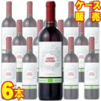 サルトーリ カベルネ ソーヴィニヨン オーガニック 750ml 6本 ケース販売 イタリア 赤 ワイン モトックス ケース販売 業務用 自然派ワイン wine