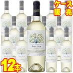 デル スール ソーヴィニヨン ブラン レセルバ 750ml 12本 ケース販売 白 ワイン チリ モトックス wine