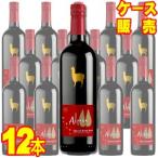 アルパカ スペシャル ブレンド レッ
