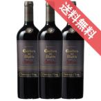 コンチャイ トロ ディアブロ デビルズ コレクション レッド 750ml 3本セット チリワイン 赤 ワイン フルボディ wine