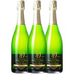 シャンパーニュ キュヴェ ヌード ブリュット ナチュレ 750ml 3本セット フィリップ ドゥシェル ケース販売 正規品 取り寄せ品 フランス スパークリング ワイン