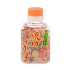 【にとん屋】焼肉ザパンチ 80g / 塩だれの素 焼肉のたれ 次世代 塩タレ スパイシー 揚げにんにく 宮崎県 スパイス バーベキュー