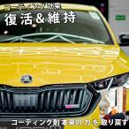 コーティング剤 トップコート メンテナンス剤 洗車グッズ 簡単 スプレー ポイント利用 HIKARI CONDITIONER
