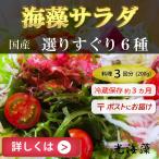 海藻サラダ（200g） 6種類　国産　塩