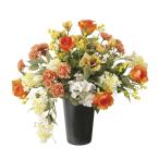  фотокаталитический свет. приятный . язык Jerry na