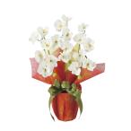  фотокаталитический свет. приятный . Mini . бабочка орхидея W