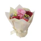  фотокаталитический свет. приятный .pliti пудель 