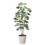  искусственная зелень фотокаталитический свет. приятный .kapok. входить li1.5m человеческий труд декоративное растение 