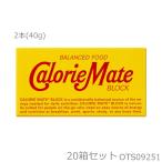 大塚製薬 カロリーメイト2B BLOCK TYPE ブロックタイプ チョコレート味 2本入(40g)×20箱セット OTS09251