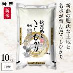 新米 新潟県産 コシヒカリ 10kg(5kg×2袋) 令和7年産 神明 日本の米卸No1の徹底した品質管理 白米 精米 お米 コメ 送料無料