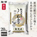 新米 新潟県産 コシヒカリ 無洗米 20kg(5kg×4袋) 令和7年産 神明 日本の米卸No1の徹底した品質管理 お米 コメ 送料無料