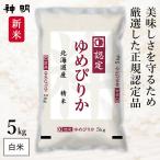 【10月中旬出荷予定】