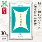 ＼期間限定クーポン／ 新米 青森県産 青天の霹靂 30kg(5kg×6袋) 令和7年産 むらせライス 精米HACCP認定の高品質管理 白米 精米 お米 コメ