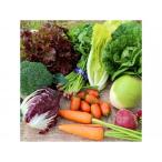  тщательно отобранный! сезон. .. похоже овощи комплект ( примерно 1.5~1.8kg* сезон в зависимости изменение есть )