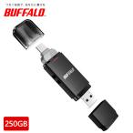 BUFFALO バッファロー USB3.2(Gen2) Type-C/Aコネクター両対応 中低速帯 スティック 250GB SSD-SD250U3BA/D
