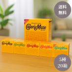 大塚製薬 カロリーメイト ブロック アソートパック 4本×20箱