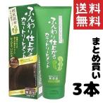 ブレーンコスモス　ふんわり仕上がるカラートリートメント　ダークブラウン　(200g)　白髪染め　利尻昆布エキス配合　送料無料 3個