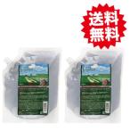 サニープレイス ザクロ-精炭酸シャンプー 800ml 2個セット　詰替用 レフィル ザクロ精炭酸