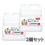 キレイキレイ 泡 詰め替え 4リットル 2個 薬用 ハンドソープ シトラスフルーティ の香り 詰替え 詰替 詰め替え用 業務用 大型
