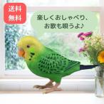 タカラトミー オムニボット 毎日おしゃべり 天才インコちゃん