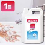 ハンドソープ 泡 詰め替え ミューズ オリジナルの香り 4.8L 殺菌 消毒 手洗い 保湿成分配合 医薬部外品