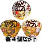 日清 どん兵衛 各4個セット 計12個 肉うどん かき揚げ天ぷらうどん カレーうどん