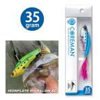 コアマン IP-35 アイアンプレート ハイアンドロー SC ( メタルバイブレーション ) COREMAN　IP-35 IRONPLATE HIGH＆LOW SC