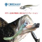 コアマン VJ-16 バイブレーションジグヘッド COREMAN VIBRATION JIGHEAD