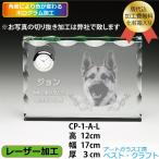  домашнее животное. crystal мемориальная табличка CP-1AL