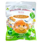 Ｖエイドパンまるまる チョコチップ