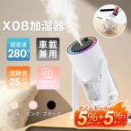 加湿器 小型 卓上加湿器 超音波式 空焚き防止 乾燥対策 除菌機能付き USB給電式 2種類加湿モード 超微細ナノミスト 保湿効果60％ 静音 省エネ