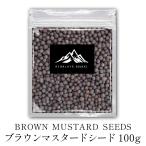 【全品P5倍】インド産 マスタードシードブラウン 100g 送料無料 マスタード 万能 調味料 カレー カレー粉 カレースパイス 香辛料 ドライハーブ インド料理