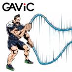 ガビック GAVIC 野球 体幹トレーニング トレーニング用品 パワーロープ 7.5 GC1234 tgf bb