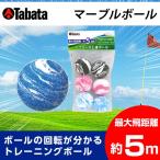 タバタ TABATA ゴルフ 練習用 練習器具 トレーニングボール 練習器 マーブルボール GV-0302