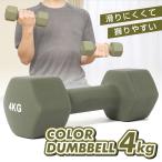 ダンベル 4kg 転がらない 六角形 カラーダンベル メンズ レディース ビジョンクエスト VISION QUEST VQ580104I04