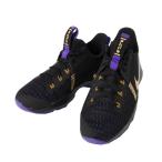 ナイキ バスケットシューズ ジュニア レブロン ウィットネス5 GS CT4629-003 NIKE