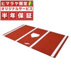 【半年保証付】 フィールドフォース 野球 トレーニング用品 バッターマット FBM-1526 FIELDFORCE