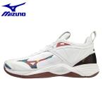 ミズノ バレーシューズ メンズ  WAVE MOMENTUM 2 V1GA211248 MIZUNO