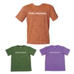 ワールドペガサス WORLD PEGASUS 野球ウェア 半袖Tシャツ メンズ Tシャツ わっぺ WAPTS102H