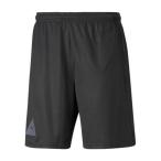 プーマ サッカーウェア ハーフパンツ メンズ FSBL PARK ショーツ 657789-05 PUMA