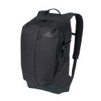 グレゴリー GREGORY バックパック メンズ レディース ジュニア アレン26 AL 146725L396