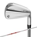 テーラーメイド TaylorMade ゴルフクラブ アイアンセット 5本組 メンズ N.S.PRO MODUS3 TOUR 105 シャフト P・790 2023 5I