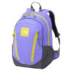 ザ・ノース・フェイス バックパック ジュニア ラウンディ キッズ K Roundy NMJ72358 OV ノースフェイス THE NORTH FACE