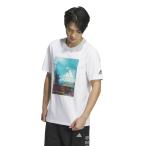 アディダス Tシャツ 半袖 メンズ PALM TREE グラフィック 半袖Tシャツ IT0902 KUE39 adidas