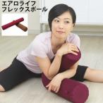 ☆エアロライフ 健康器具 フレックスポール DR-2600 AEROLIFE 【ご自宅配送限定】‥
