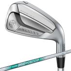 ヤマハ YAMAHA ゴルフクラブ アイアンセット メンズ N.S.PRO 850GH neo  シャフト INPRES DRIVESTAR 25 S 4I NS8n