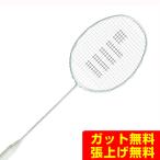 ゴーセン GOSEN バドミントンラケット コキュートス アイス COCYTUS ICE BRCYIC