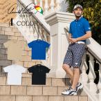 アーノルドパーマー arnold palmer ゴルフウェア ポロシャツ 半袖 メンズ 衿裏プリント半袖ポロシャツ AP220101D02